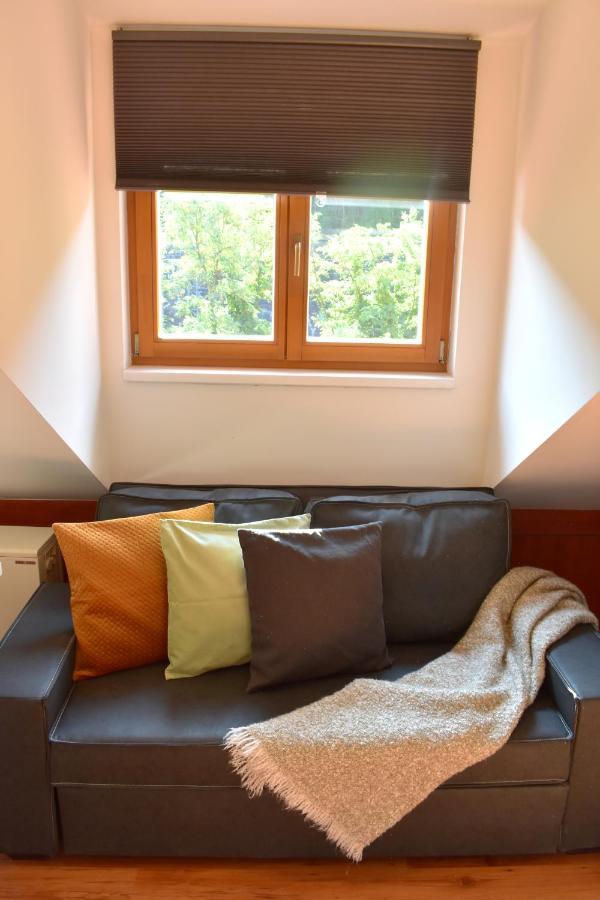 New Central Rooftop With Private Wellness, Sauna & Whirlpool Bath ปราก ภายนอก รูปภาพ